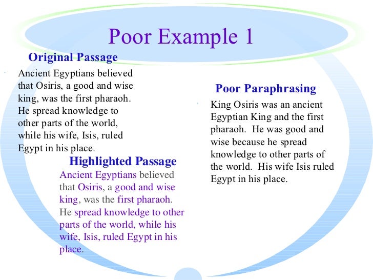 professional essay examples